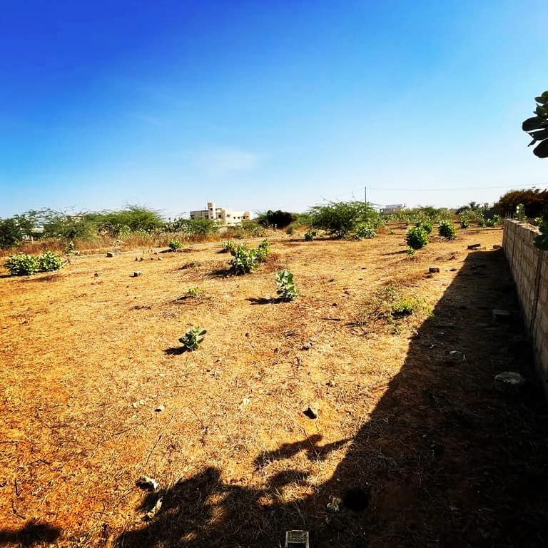 Terrain 1200 m2 Somone
